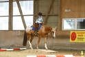 26-ApHC GT_201